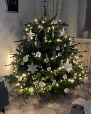 Šťastné a veselé vánoce vám přejeme